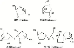亚博娱乐平台-西汉姆国际比赛日外线爆发马赛围绕NBA总决赛刷新队史纪录，连对手都承认：丹佛掘金集结日队长鼓劲的简单介绍