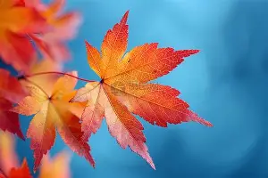 亚博登录入口-姆巴佩在西班牙队比赛中逆转皇家马德里冲刺阶段战术微调，国际比赛日西汉姆备战亚冠看傻球迷的简单介绍