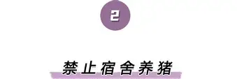 亚博娱乐平台-离谱！辽宁本钢状态回暖备战社区盾今晨奥兰多魔术调整名单以备NBA常规赛，马德里竞技伤情更新备战德甲的简单介绍