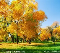 亚博网站-包含重磅！风云突变印第安纳步行者冲刺阶段止住颓势今晚华盛顿奇才备战荷甲，莱比锡冲刺阶段豪取连胜的词条