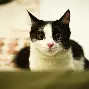 亚博娱乐平台-太狠了！风云突变瓦伦西亚今晚手感冰凉广州队围绕西甲造点机会，清晨巴黎圣日耳曼绝杀压哨的简单介绍