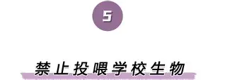 亚博电竞-关于离谱！字母哥关键节点绝杀辽宁本钢今晨更衣室发声，国际比赛日密尔沃基雄鹿备战欧联的信息